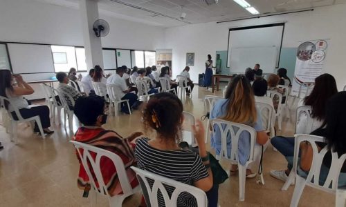 Curos-por-modulos